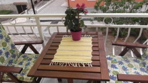 Отель Apartment Brankica  Водице